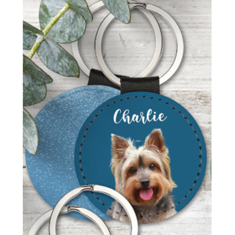 Aangepaste huisdier foto sleut - Men Keychain Accessories recensie en prijs